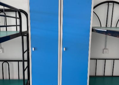 Custom Made 1 Door Locker with Drawer and Mirror (Kian Teck)